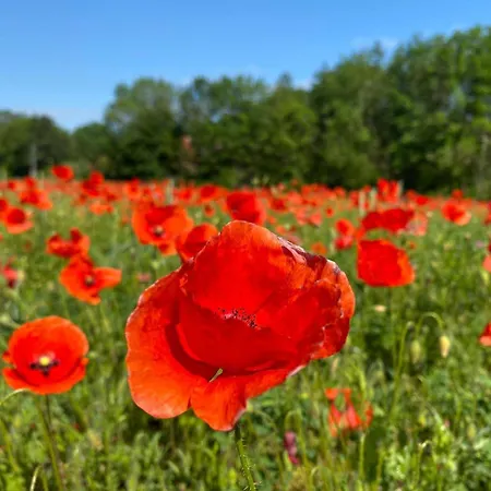 Apartment Doesjes Naumburg (Saale)