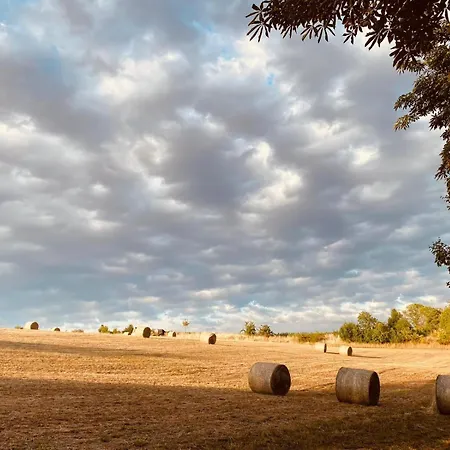 Doesjes Naumburg (Saale)