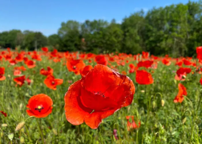 Apartment Doesjes Naumburg (Saale)