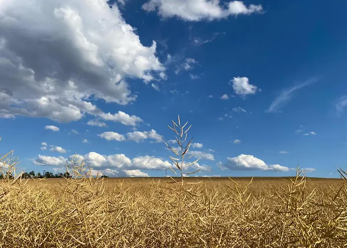 Doesjes * Naumburg (Saale)