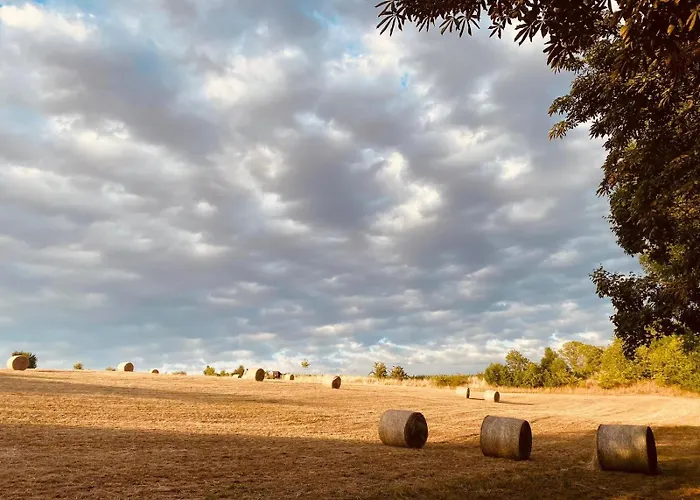 Doesjes Naumburg (Saale)